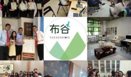 第五周年爆料新闻报道,揭秘幕后爆料，精彩瞬间回顾